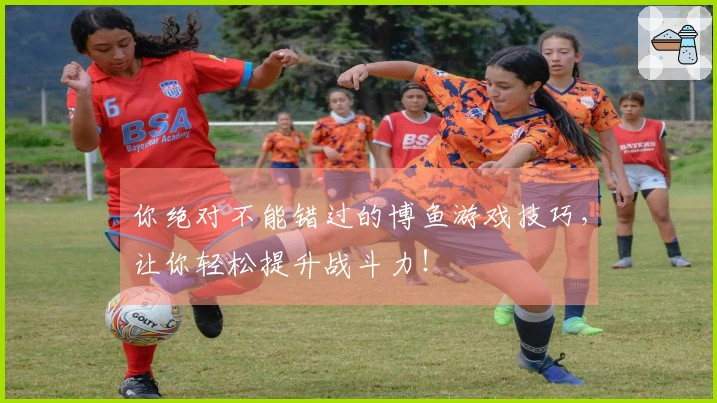 你绝对不能错过的博鱼游戏技巧，让你轻松提升战斗力！