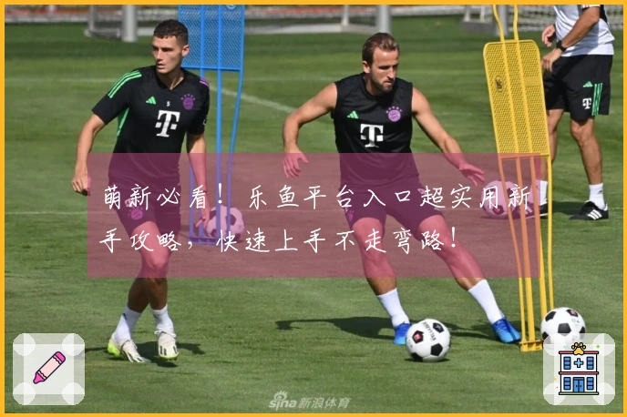 萌新必看!乐鱼平台入口超实用新手攻略,快速上手不走弯路!